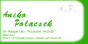 aniko polacsek business card